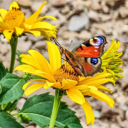Hébergement de vacances Amazing In With Kitchen