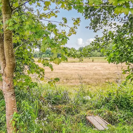 Amazing In With Kitchen *