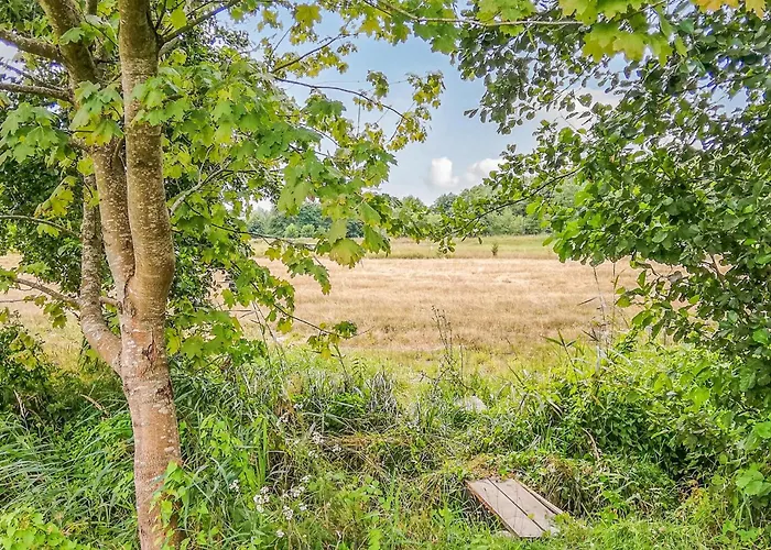 Amazing In With Kitchen *